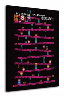 Donkey Kong Nes Game na plátne 60x80 cm
