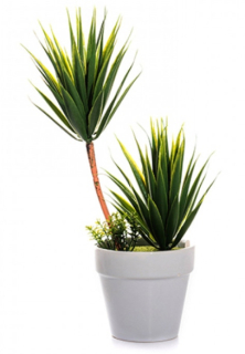 Dracena. Umelá rastlina v hrnci 30cm. Španielsko