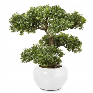 Bonsaj v bielej keramickej miske s 33 cm