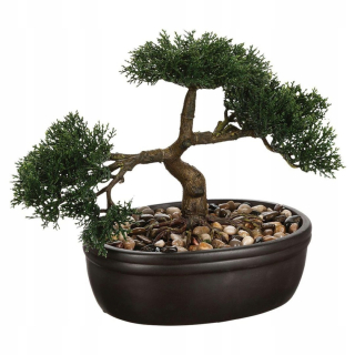 Bonsai strom v čiernom hrnci 23 cm