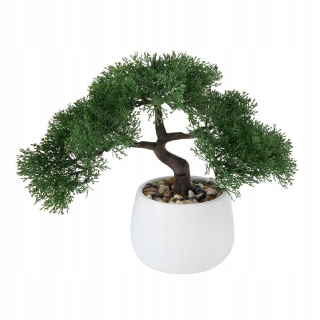 Bonsai strom v hrnci Lian vzor 1