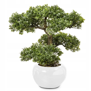 Bonsai strom v zelenom hrnci