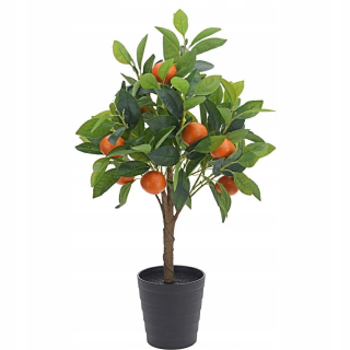 Oranžový strom v hrnci 70 cm