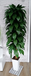 Umelý strom Fikus fígeľ 175 CM FLOWER