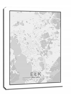 Elekk mapa čiernobiela - obrázok na plátne
