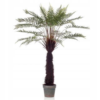 Emerald Artificial Fern Dicksonia, 125 cm, v