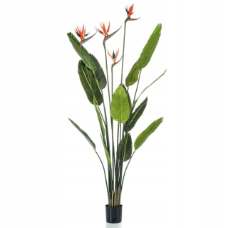 Smaragdová Umelá Strelitzia so 4 kvetmi, š