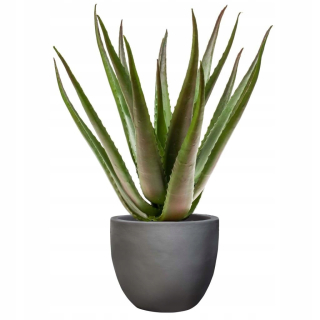 Emerald umelé aloe v kvetináči, 50 cm