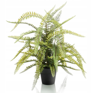 Smaragdové umelé nefrolepis predstavovali 70 cm
