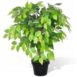 Ficus umelá rastlina s kvetináči. Dekoratívne