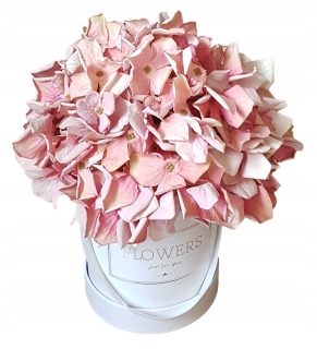 Truhlík hortensja Artificial Hydrangea