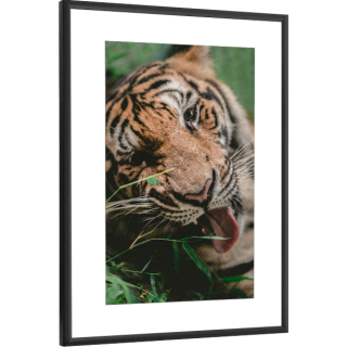 Rám na jednu fotografiu Fabryka Ramek 45 x 35 cm
