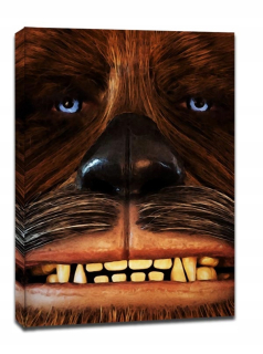 Čeliť! Star Wars Star Wars - Chewbacca - OB