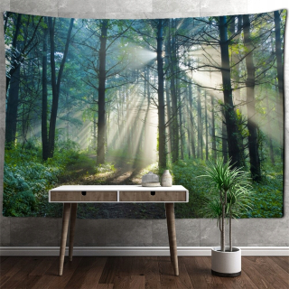 Fantasy Foggy Forest Tapištry stena visí psyched