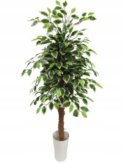 Umelý strom ficus benjamin strom 130 cm
