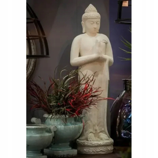 Obrázok Buddha Mohit_aloro