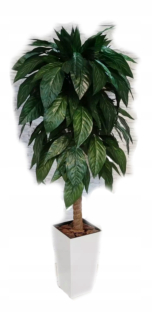 Fikus FIGLABLE 140cm biela čierna kvetináč