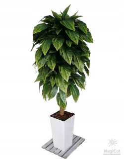 Umelé kvety,ovocie - Ficus Umelý figovník 140 cm biely čierny kvetináč