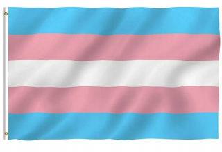 Záhradná vlajka Trans Pride Bi