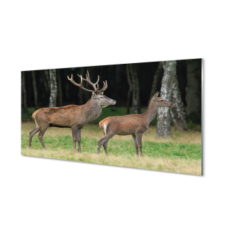 Fotografie lesa s temperovaným skleneným jeleňom 120x60 cm