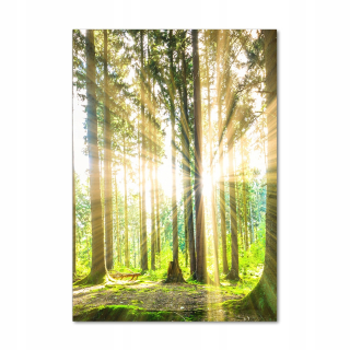 Foto Akryl Obrázok pre salónový salón v lese 70x100 cm