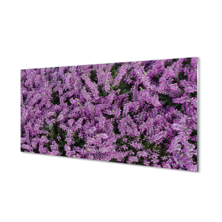 Foto akrylová obrázok fialové kvety 120x60 cm
