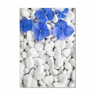 Foto akrylová obrazy Hydrangea Stones 70x100 cm