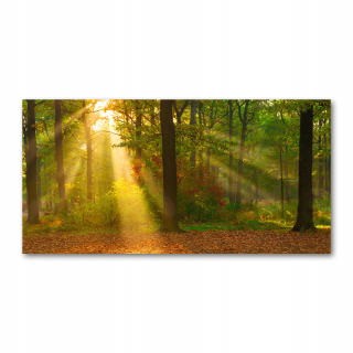 Foto-Photo akrylový les v Sun Photo 140x70 cm