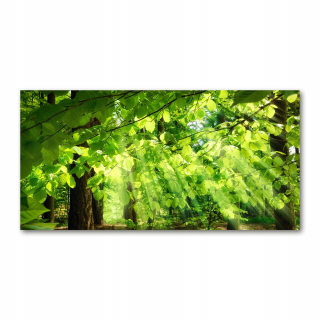 Foto-image akrylové bukové listy fotografie 140x70 cm