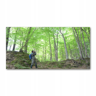Foto-Photo akrylový ornitológ v lese 140x70 cm