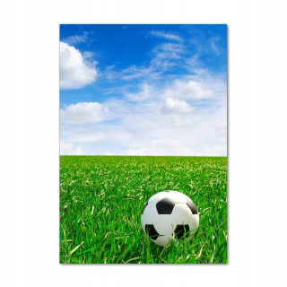 Fotografický obrázok na sklenenom futbale na lúke 70x100 cm