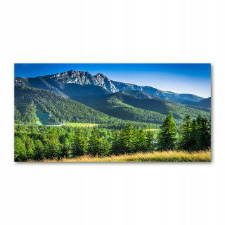 Foto-Photo akrylový conjur v pohorí Tatra 140x70 cm