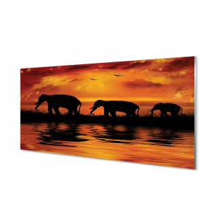 Foto akrylová obraz West Elephants Lake 120x60