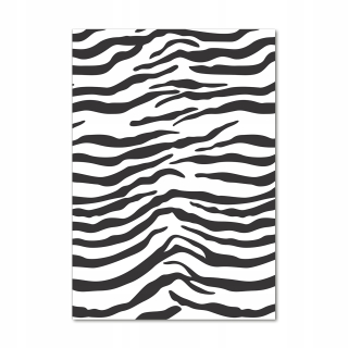 Foto akrylová obraz pre stenu zebra pozadie 70x100 cm