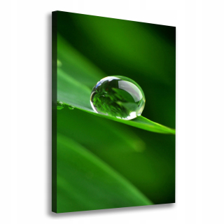 Foto obrázok plátno pre salónovú čepeľ Grass 70x100