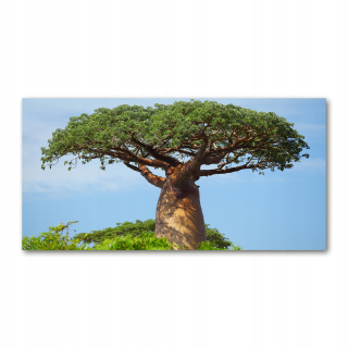 Fotografie fotografia temperované sklo baobab 140x70