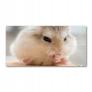 Foto-fotka fotografia Hampted Glass Camic 140x70