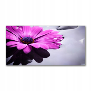 Veľká akrylová fotoobraz Gerbera 140x70 cm fotografia