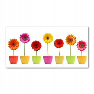 Foto obrázok sklo farebné Gerberas 140x70