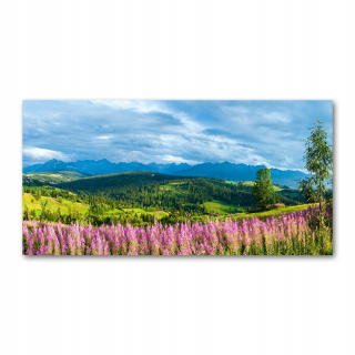 Foto-Photo veľký akrylový levanduľa v horách 140x70cm