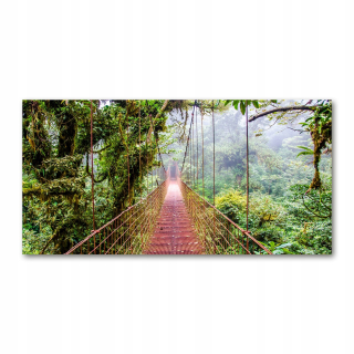 Foto Image Glass Bridge v trópoch 140x70