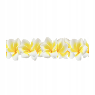 Foto obraz temperované sklo Plumeria 140x70