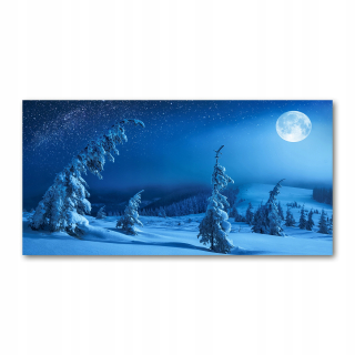 Foto-image veľký akrylový mesačný svit 140x70cm