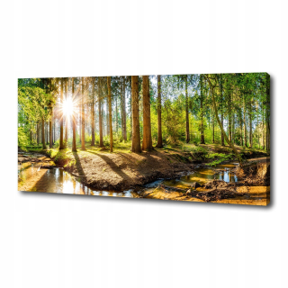 Foto fotografia veľká na plátne Panorama Forest 125x50 cm