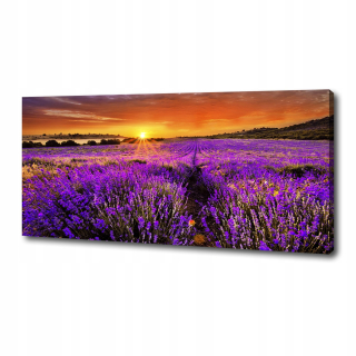 Fotografický obrázok veľký na plátne pole Lavender 125x50 cm