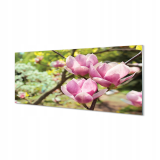 Fotografický obrázok na akrylovom strome Magnolia 125x50 cm