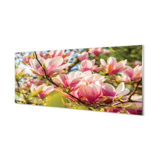 Foto-Photo pre Plexission Pink Magnolia 125x50 cm
