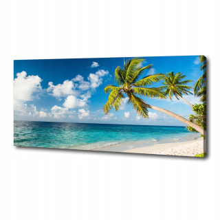 Fotografický obrázok na plátne Maldivy Beach 125x50 cm