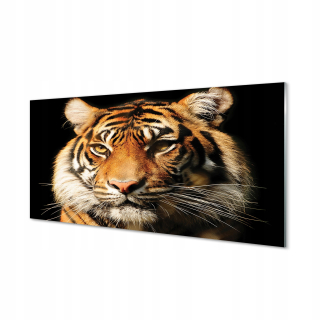 Foto stena obrázok akrylové sklo tiger 140x70