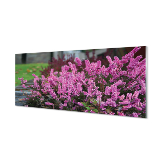 Foto stena obrázok akrylové sklo Heather 125x50